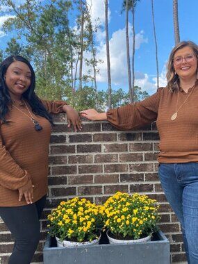 Brown Textured Blouse